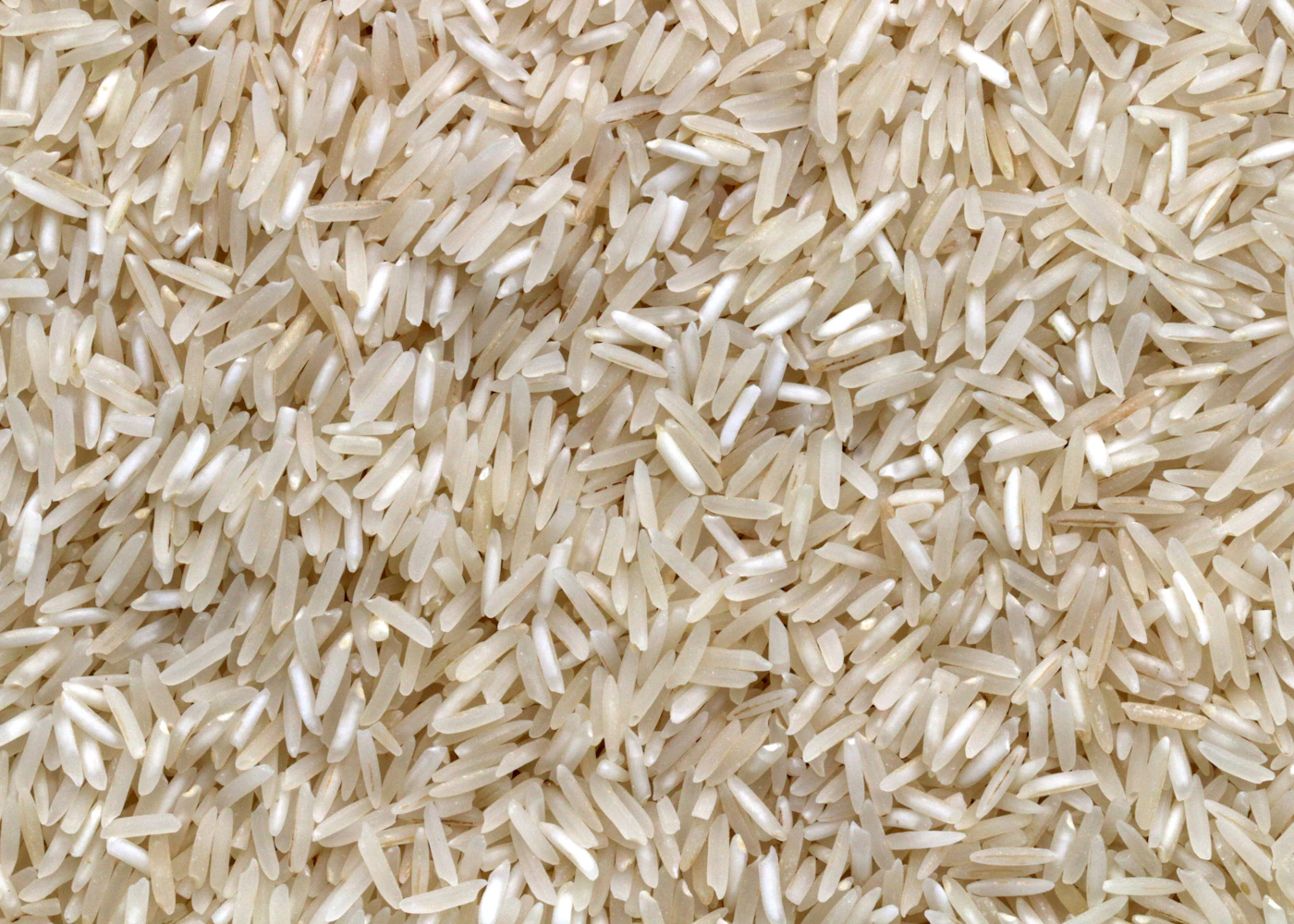 Close view of uncooked rice grains
